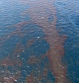 Photo - AFP/USCG/Elizabeth Bordelon This photo from the US Coast Guard shows part of the growing oil slick in the Gulf of Mexico. The photo was taken soon after the April 22 sinking of the Deepwater Horizon oil rig, leased and run by BP. Photo - AFP/USCG/Elizabeth Bordelon.