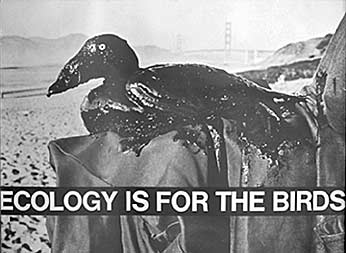 Poster for the International Bird Rescue Research Center. Offset, 1971. Ecology Is For The Birds - Anonymous artist. Designed for the International Bird Rescue Research Center (IBRRC). Offset, 1971.