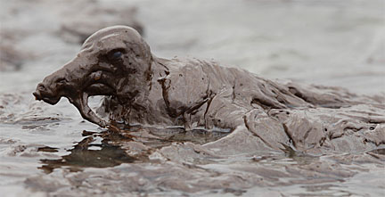 This June 3, 2010 photograph by AP photographer Charlie Riedel shows a seagull trapped in oil along the Louisiana coast after the BP Deepwater Horizon oil spill.