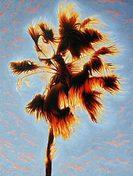 "Burning Palm Tree" - Mark Vallen. Oil on canvas. 30" x 40" inches. 2008 ©.
